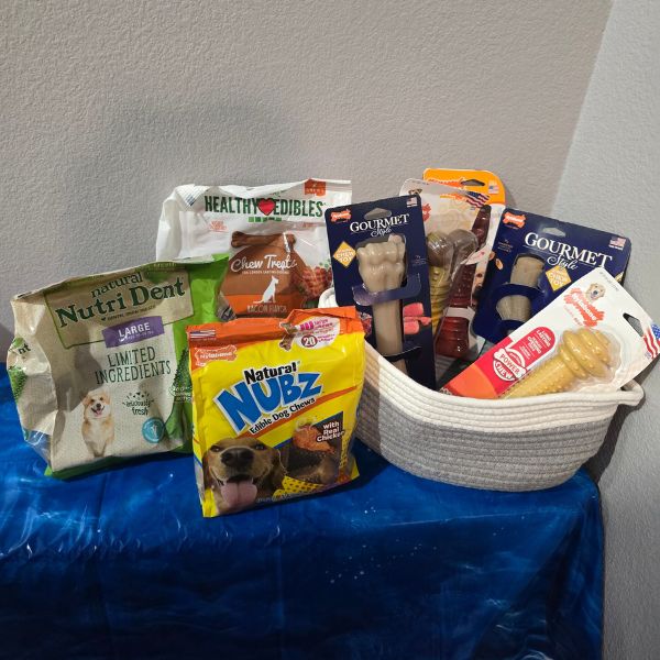 Nylabone Goodies