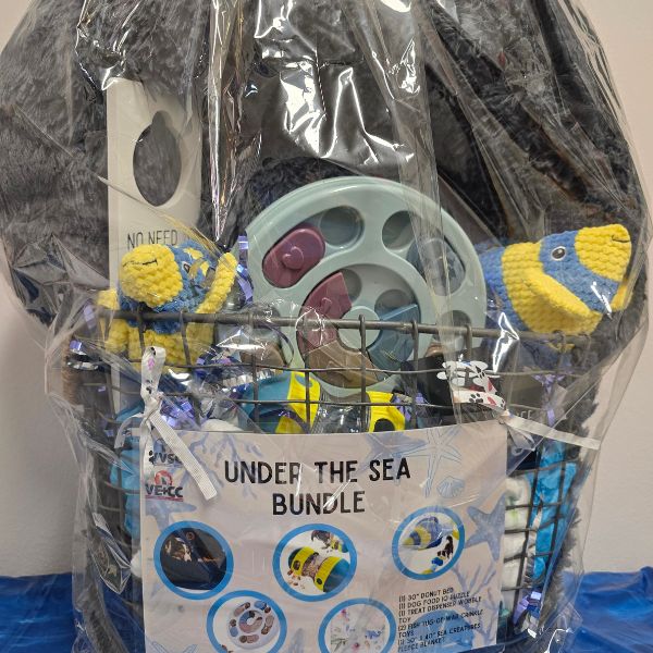VECC/LVSC- Under the Sea theme bundle