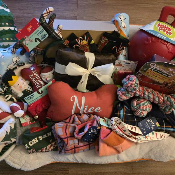 Animal Network Basket for Dog Goodies